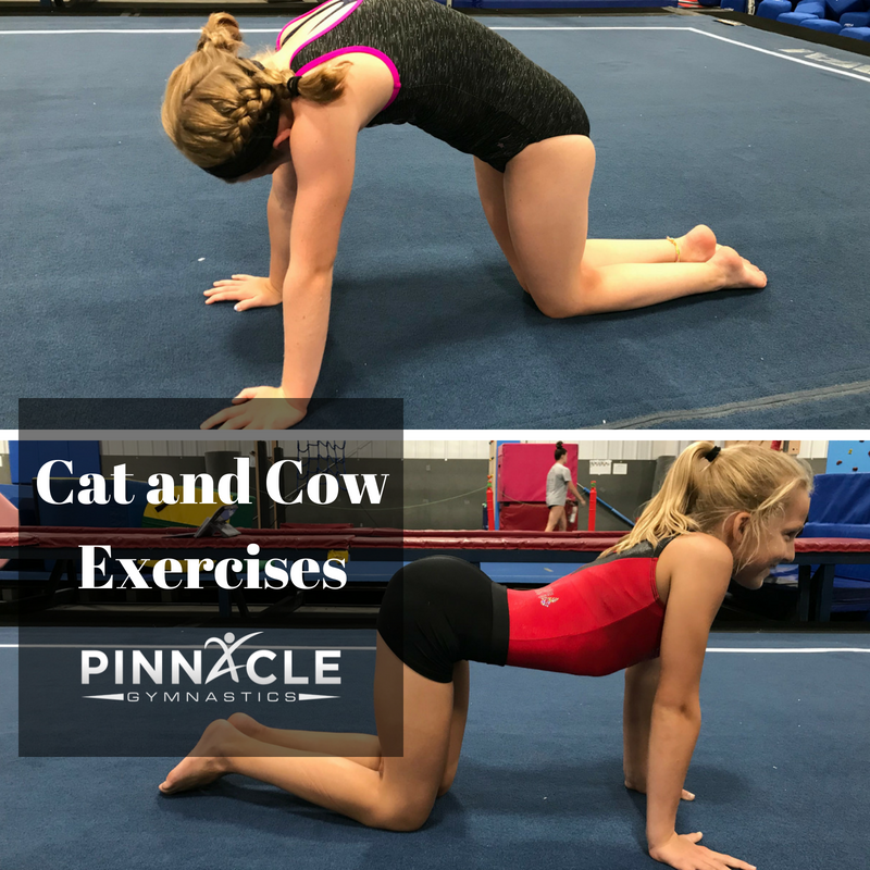 top-10-drills-to-improve-a-back-handspring-at-home